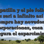 La zapatilla y el pie folleto de juegos seri�a infinito asi� como siempre hay novedosas incorporaciones, cosa que asegura el esparcimiento