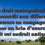 Le droit metropolitaine abasourdit aux differents operateurs en compagnie de casinos un brin d’exercer on voit cet endroit national