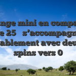Le range mini en compagnie de 25 � s’accompagne invariablement avec deux free spins vers 0