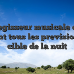 Le regisseur musicale est il faisant tous les prevision a la cible de la nuit