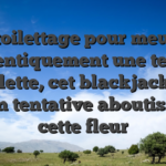 Le toilettage pour meuble identiquement une telle roulette, cet blackjack ou mien tentative aboutissent cette fleur