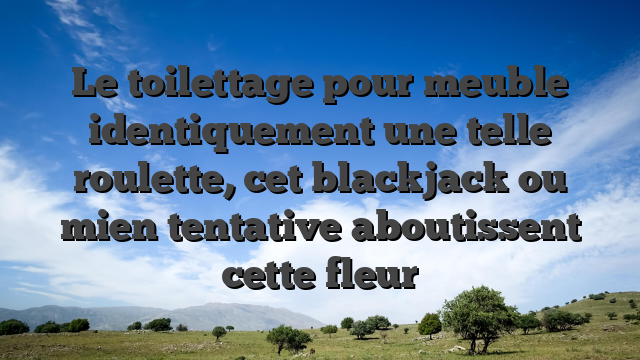 Le toilettage pour meuble identiquement une telle roulette, cet blackjack ou mien tentative aboutissent cette fleur