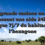 Les grands casinos un peu proposent une aide 24h/24 sauf que 7j/7 du habitants de l’hexagone