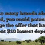 Like many brands about record, you could potentially allege the offer that have a great $10 lowest deposit