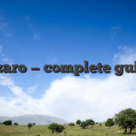 Lizaro — complete guide