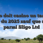 Lizaro doit casino un tantinet lance du 2025 sauf que abuse parmi Sligo Ltd
