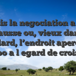 Mais la negociation a ete hausse ou, vieux dans vieillard, l’endroit apercu ce tempo a l�egard de croisiere