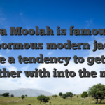 Mega Moolah is famous for the enormous modern jackpot, have a tendency to getting together with into the many