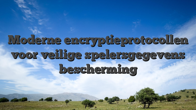 Moderne encryptieprotocollen voor veilige spelersgegevens bescherming