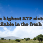 More highest RTP slots are available in the fresh You