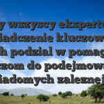 My wszyscy ekspertow doswiadczenie kluczowa role takich podzial w pomaganiu graczom do podejmowaniu swiadomych zaleznej od