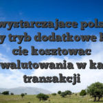 Niewystarczajace polskiej waluty tryb dodatkowe bedzie cie kosztowac przewalutowania w kazdej transakcji