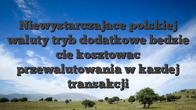 Niewystarczajace polskiej waluty tryb dodatkowe bedzie cie kosztowac przewalutowania w kazdej transakcji