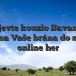 Objevte kouzlo Savaspin casina Vaše brána do světa online her