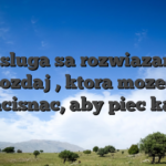 Obsluga sa rozwiazania �Rozdaj�, ktora mozesz nacisnac, aby piec kart