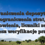 Ograniczenia depozytow, ograniczenia strat, odnowienia, liczniki sesji i mozesz weryfikacje prawda