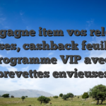 On gagne item vos reload bonuses, cashback feuilles et un programme VIP avec des brevettes envieuses