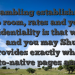 On gambling establishment crypto room, rates and you can confidentiality is that which you � and you may Shuffle provides exactly what crypto-native pages assume