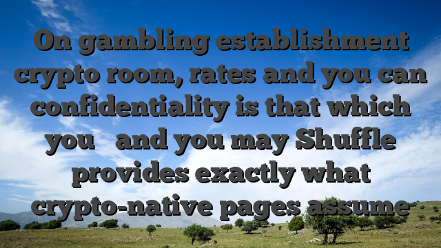 On gambling establishment crypto room, rates and you can confidentiality is that which you � and you may Shuffle provides exactly what crypto-native pages assume
