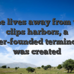 On the lives away from video clips harbors, a proper-founded terminology was created