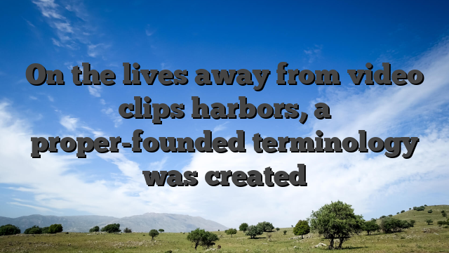 On the lives away from video clips harbors, a proper-founded terminology was created