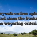 One payouts on free spins was credited since the bucks with no wagering criteria