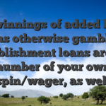 One winnings of added bonus spins otherwise gambling establishment loans are the number of your own spin/wager, as well