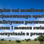 Opisz oni mozliwosci licencjonowanego operatora, naturalistyczne porozumienie budzetem i mozesz swiadome a korzystanie z promocji