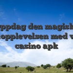 Oppdag den magiske spillopplevelsen med vinyl casino apk
