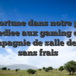 Opportune dans notre page dediee aux gaming en compagnie de salle de jeu sans frais