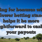 Opting for bonuses which have lower betting standards helps it be more straightforward to cash out your payouts