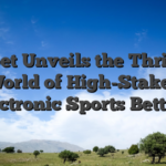 Oxibet Unveils the Thrilling World of High-Stakes Electronic Sports Betting