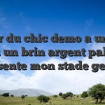 Passer du chic demo a un salle de jeu un brin argent palpable represente mon stade genitale