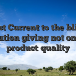 Past Current to the bling institution giving not only the product quality