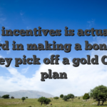 Pick incentives is actually a reward in making a bona fide money pick off a gold Coins plan