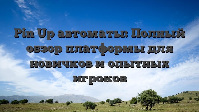 Pin Up автоматы: Полный обзор платформы для новичков и опытных игроков