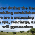 Places during the Hands Gambling establishment Lodge are a swimming pool, health spa, concierge, and you will gymnasium