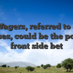 Play Wagers, referred to as AA Bonuses, could be the popular front side bet