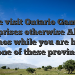 Please visit Ontario Gambling enterprises otherwise Alberta Casinos while you are based in one of these provinces