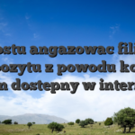 Po prostu angazowac filip bez depozytu z powodu konto kasyn dostepny w internecie