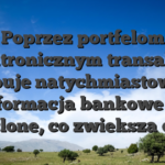 Poprzez portfelom elektronicznym transakcje probuje natychmiastowe, a informacja bankowe sa zamglone, co zwieksza dobry