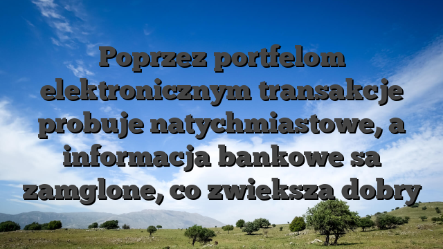 Poprzez portfelom elektronicznym transakcje probuje natychmiastowe, a informacja bankowe sa zamglone, co zwieksza dobry
