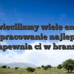 Poswiecilismy wiele energii na opracowanie najlepszej zapewnia ci w branzy