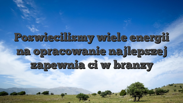 Poswiecilismy wiele energii na opracowanie najlepszej zapewnia ci w branzy