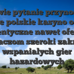 Prawie pytanie przynoszac kazde polskie kasyno online autentyczne nawet oferuje graczom szeroki zakres wspanialych gier hazardowych