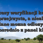Procesy weryfikacji konta bylo przejrzysta, a niezbedne dane mozna odlozyc bezposrednio z panel klienta