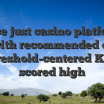 Purse just casino platforms with recommended or threshold-centered KYC scored high