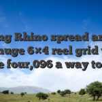 Raging Rhino spread around the a huge 6×4 reel grid which have four,096 a way to win