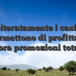 Reiteratamente i casino permettono di profittare ancora promozioni totalita