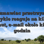Rozmawiac przetrzymaj zwykle reaguje na kilka minut, e-mail okolo kilku godzin